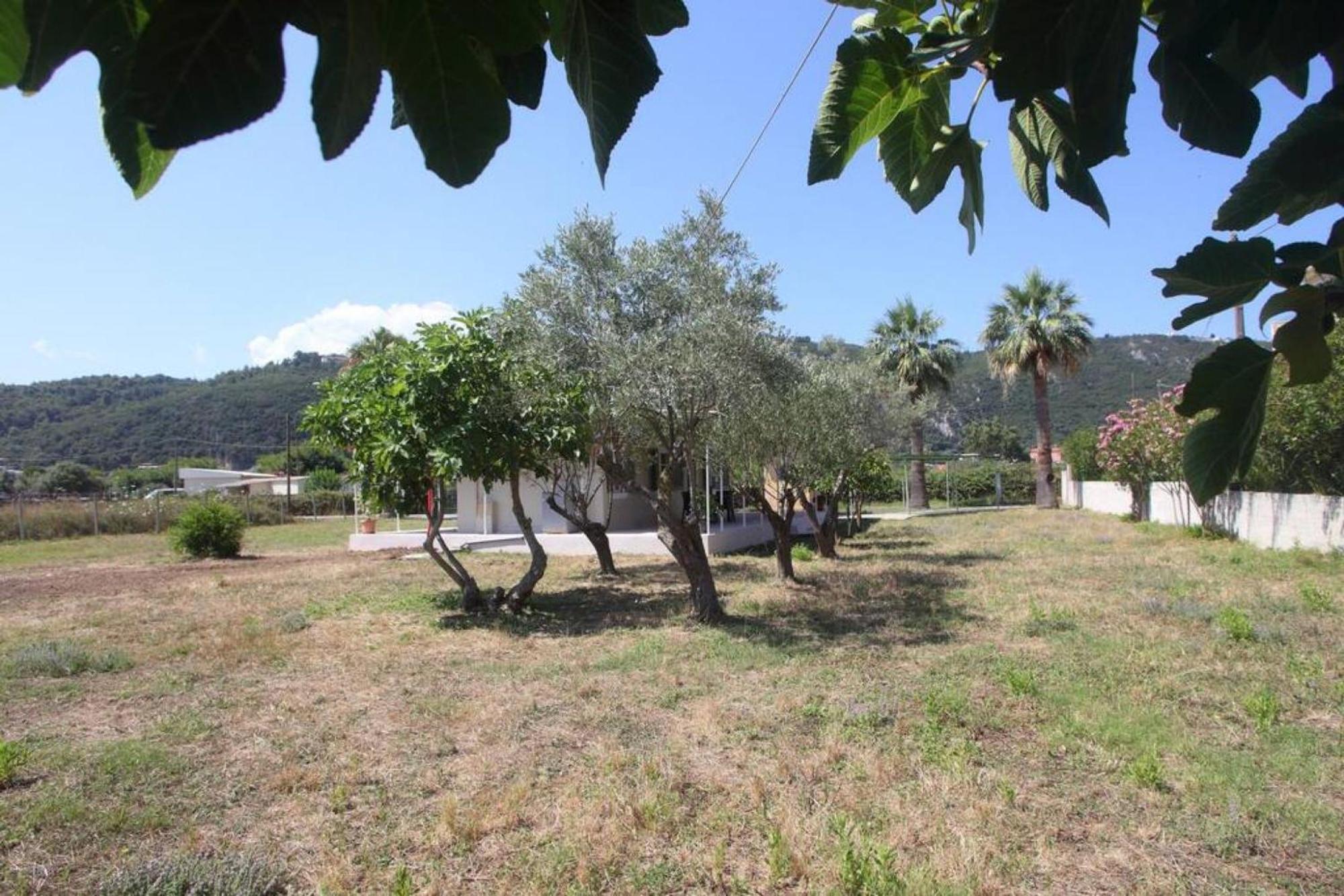 Olga Home Agios Ioannis Lefkada Lefkada City Exterior foto